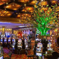 Suncoast casino karta, naknada za parkiranje u kazinu uživo